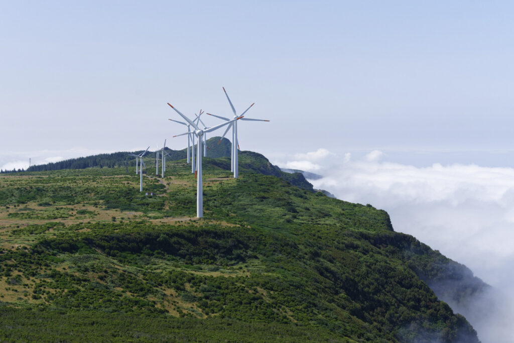 Wind turbines generating renewable energy to power sustainable wool scouring operations at Castilwool in Spain.